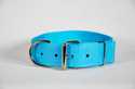 1-3/4-Inch X 22-Inch Turquoise Nylon Big Dogg Collar